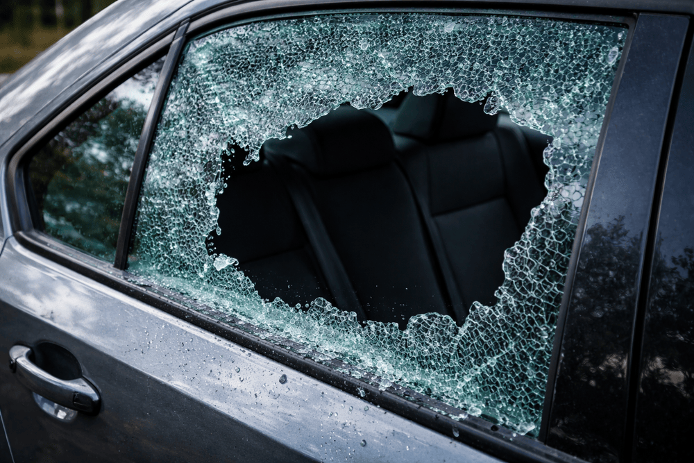 Upgrade Options Driver Side Window Replacement